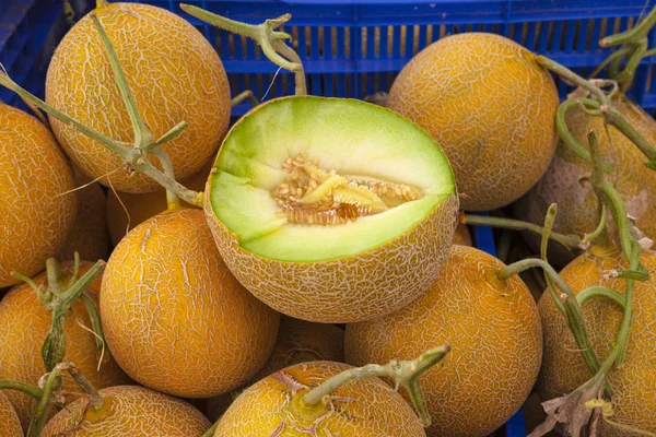 Sappige rijpe meloenen close-up op de Tsjechische markt. — Stockfoto