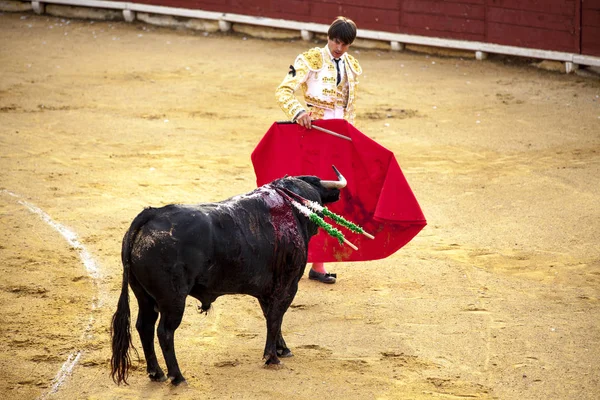Matador s vrcholy připravuje pro býčí zápasy. Španělsko 2017 07.25.2017. Vinaros monumentální Corrida de toros. Juan Jose Padilla. — Stock fotografie