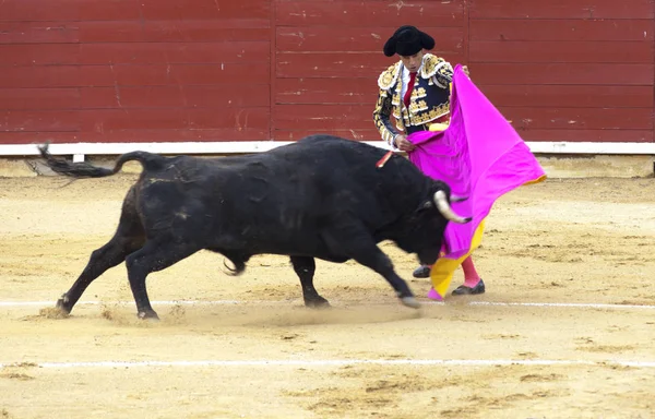 Uma tourada espanhola. O touro enfurecido ataca o toureiro. Espanha 2017 07.25.2017. Vinaros Monumental Corrida de toros. Juan Jose Padilla . — Fotografia de Stock