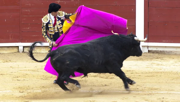 Uma tourada espanhola. O touro enfurecido ataca o toureiro. Espanha 2017 07.25.2017. Vinaros Monumental Corrida de toros. Juan Jose Padilla . — Fotografia de Stock