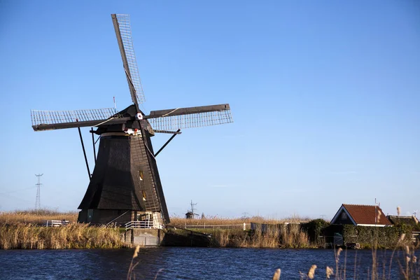 Голландские ветряки, Голландия, сельские просторы. Ветряные мельницы, символ Голландии . — стоковое фото