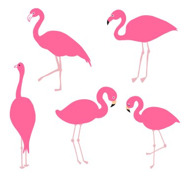 Pembe flamingo seti, vektör çizim.