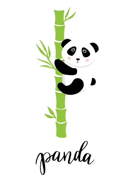 Cute panda on bamboo. Baby illustration. Green background. Flat design. Vector illustration — Stock Vector