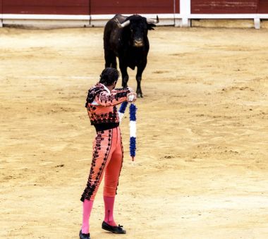 İspanyol boğa güreşi. Öfkeli boğa Boğa güreşçisi saldırır. İspanya 2017 07.25.2017. Vinaros anıtsal Corrida de toros.