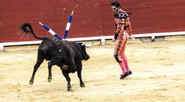 Öfkeli boğa Boğa güreşçisi saldırır. İspanya 2017 07.25.2017. Vinaros anıtsal Corrida de toros. İspanyol boğa güreşi.