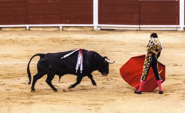 İspanyol boğa güreşi. . Öfkeli boğa Boğa güreşçisi saldırır. Corrida de toros.