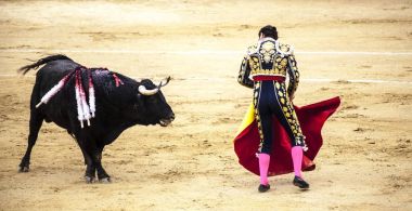 Corrida de toros. İspanyol boğa güreşi. . Öfkeli boğa Boğa güreşçisi saldırıları.