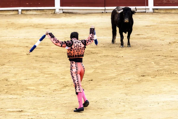 Rasande tjuren angriper tjurfäktaren. Spanien 2017 07.25.2017. Vinaros monumentala Corrida de toros. Spanska tjurfäktningen. — Stockfoto