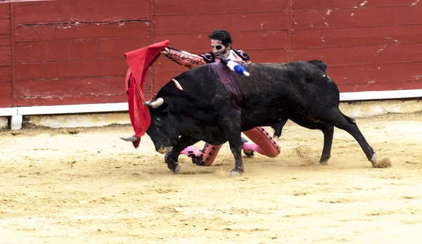 A batalha do touro e do homem. O touro enfurecido ataca o toureiro. Espanha 2017 07.25.2017. Vinaros Monumental Corrida de toros. tourada espanhola . — Fotografia de Stock