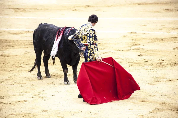 Corrida de toros. Španělské koridy. . Rozzuřený býk útoky toreadorovi. — Stock fotografie