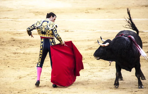 Corrida de toros. Испанский бой быков. Разъяренный бык нападает на тореадора . — стоковое фото