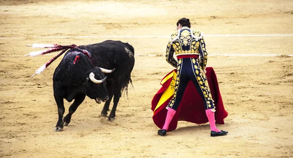 コリーダ ・ デ ・ トロス。スペインの闘牛。.激怒の雄牛闘牛士を攻撃します。. — ストック写真