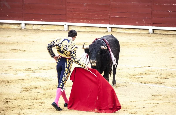 Uma tourada espanhola. O touro enfurecido ataca o toureiro. Corrida de toros . — Fotografia de Stock