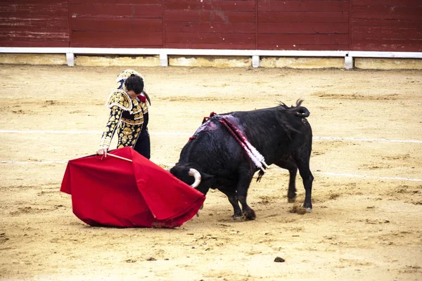 Spanska tjurfäktningen. . Rasande tjuren angriper tjurfäktaren. Corrida de toros. — Stockfoto