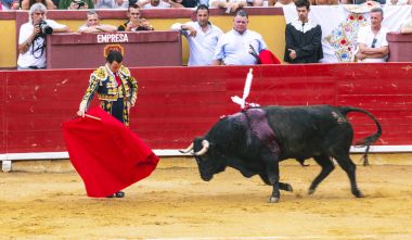 İspanyol boğa güreşi. . Öfkeli boğa Boğa güreşçisi saldırır. Corrida de toros.