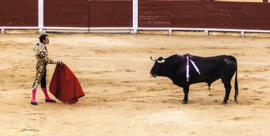 Kızgın bir alay cesur matador arenada boğa yaralı. İspanyol boğa güreşi. . Öfkeli boğa Boğa güreşçisi saldırır. Corrida de toros.