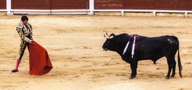Yaralı bir boğa Torero saldırmaya hazırlanıyor. Öfkeli boğa Boğa güreşçisi saldırır. Corrida de toros.