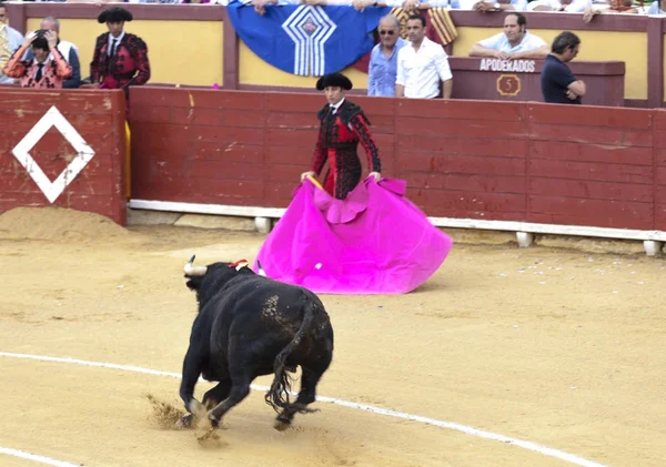 怒ってブル闘牛。大規模なスペインの雄牛の戦い。スペインの闘牛. — ストック写真