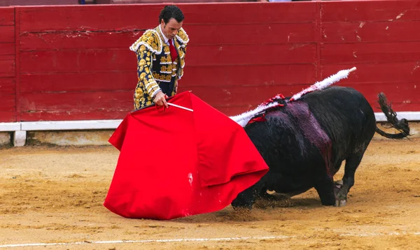 Uma tourada espanhola. O touro enfurecido ataca o toureiro. Corrida de toros . — Fotografia de Stock