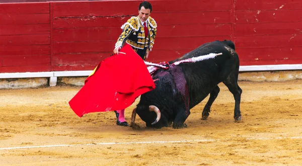 Statečný toreador škádlení rozzlobený raněný býk v aréně. Španělské koridy. . Rozzuřený býk útoky toreadorovi. Corrida de toros. — Stock fotografie