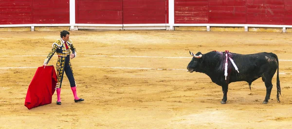 Bravo toureiro provocando um touro ferido na arena. Uma tourada espanhola. O touro enfurecido ataca o toureiro. Corrida de toros . — Fotografia de Stock