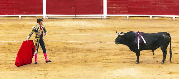 Mutiger Stierkämpfer neckt einen wütenden verwundeten Stier in der Arena. Spanischer Stierkampf. Der wütende Stier greift den Stierkämpfer an. corrida de toros. — Stockfoto