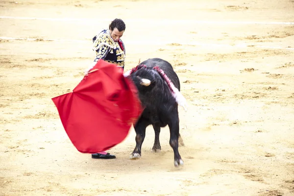 Bull Raivoso Bullfighting. Um grande touro espanhol lutando.tourada espanhola . — Fotografia de Stock