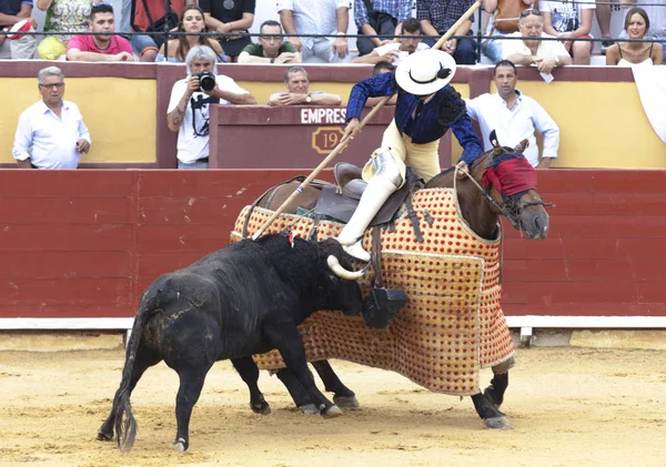 Ισπανικών ταυρομαχιών. Picador με ένα δόρυ πάνω σε άλογο. Ο εξοργισμένος Ταύρος επιθέσεις ο ταυρομάχος. Ισπανία 2017 07.25.2017. Vinaros μνημειακή Corrida de toros. Juan Jose Padilla. — Φωτογραφία Αρχείου