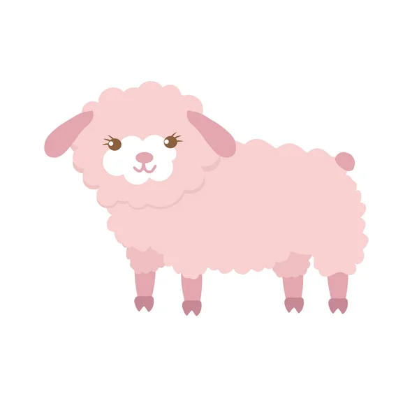 Söt fåren i platt stil isolerad på vit bakgrund. Vektorillustration. Tecknade fåren. — Stock vektor