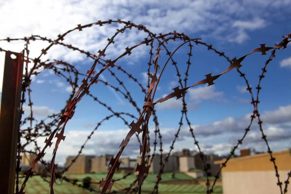 Prison. Barbed wire. Barbed wire on blue sky background with white clouds. Wire boom. Military conflict . Syria.