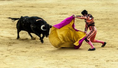 Boğa son savaşı. Bir boğa ve Boğa güreşçisi mücadele. İspanyol boğa güreşi. . Öfkeli boğa Boğa güreşçisi saldırır. Corrida de toros.