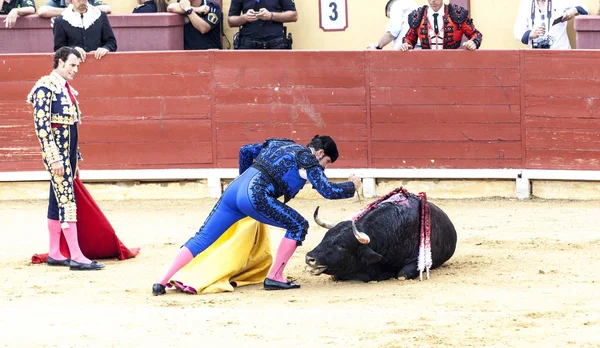 A última batalha do touro.A luta de um touro e toureiro. Uma tourada espanhola. O touro enfurecido ataca o toureiro. Corrida de toros . — Fotografia de Stock