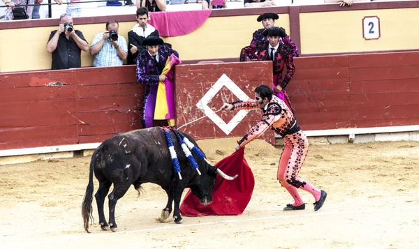 Spanish bullfight. The enraged bull attacks the bullfighter. Spain 2017 07.25.2017. Vinaros Monumental Corrida de toros. — Stock Photo, Image