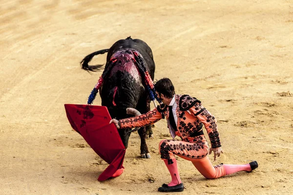 A última batalha do touro.A luta de um touro e toureiro. Uma tourada espanhola. O touro enfurecido ataca o toureiro. Corrida de toros . — Fotografia de Stock