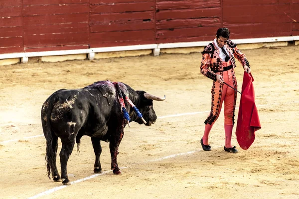 Corrida de toros.A última batalha do touro.A luta de um touro e toureiro. Uma tourada espanhola. Corrida de toros . — Fotografia de Stock