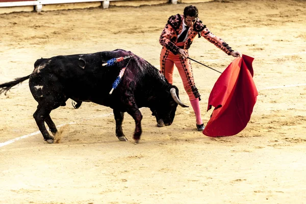 Corrida de toros. Den sista striden av tjuren. Slagsmål av en bull och tjurfäktare. Spanska tjurfäktningen. Corrida de toros. — Stockfoto