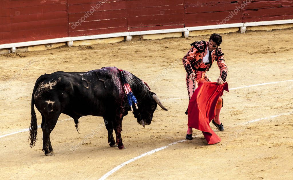 Corrida de toros. La dernière bataille du taureau. Le Corrida de toros. La dernière bataille du taureau. Le
