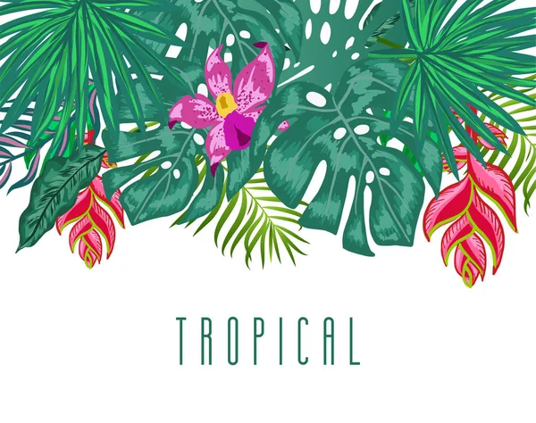 Fondo tropical de verano verde con hojas y plantas de palmeras exóticas. Fondo floral vectorial . — Archivo Imágenes Vectoriales