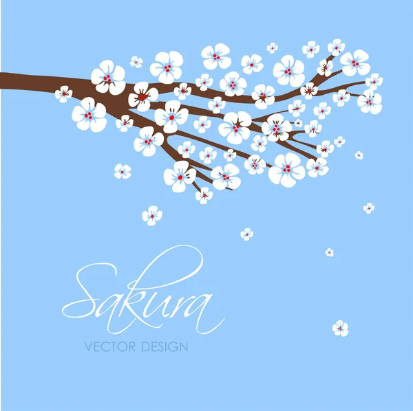 Sakura japonesa e chinesa . —  Vetores de Stock