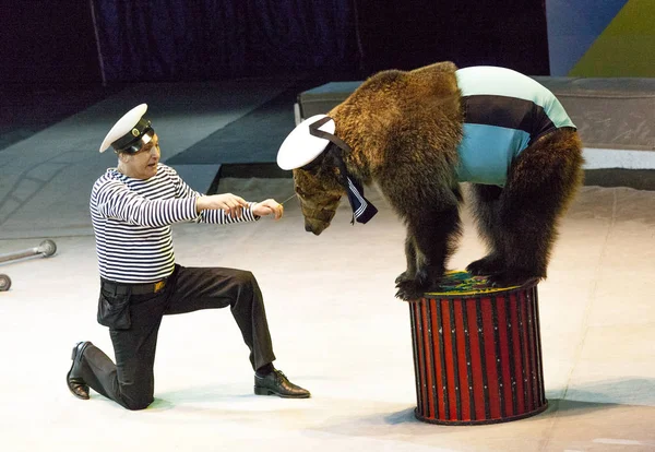 Circo. Oso y entrenador realiza en la arena del circo. Oso de circo. El oso actúa en la arena del circo . — Foto de Stock