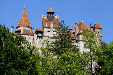 Dracula Şatosu. Romanya, Transilvanya Kalesi, Vlad Zepes, Drakula.