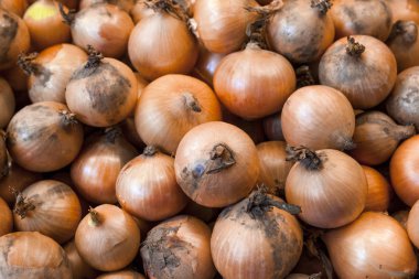 Soğan closeup Köyü piyasada. Yunanistan.