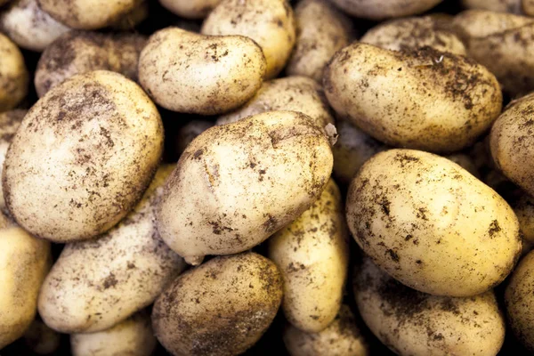 Fresh potato close up at the village market . Greece. — Stock Photo, Image