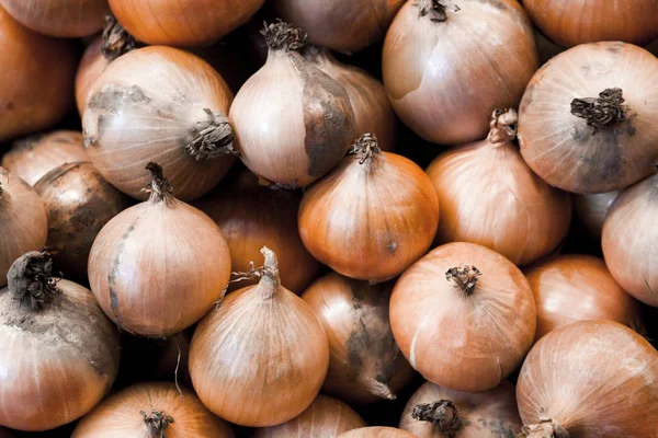 Onions closeup on the village market . Greece. — Stock Photo, Image
