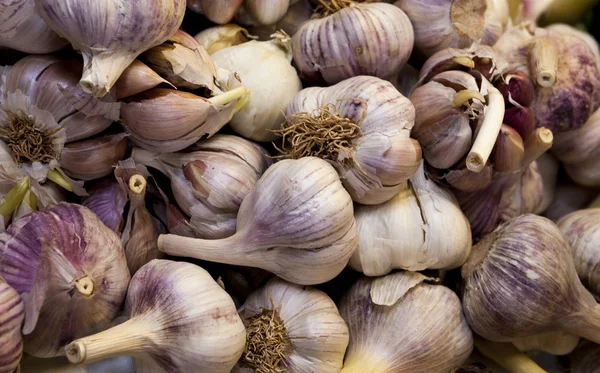 Aglio. grandi teste di aglio nel mercato del villaggio . — Foto Stock