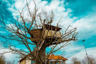 Çocuk ev ağaçların