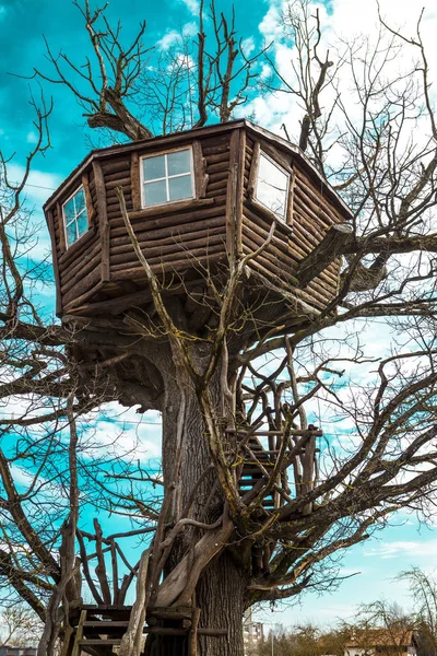 Удобный дом на деревьях — стоковое фото