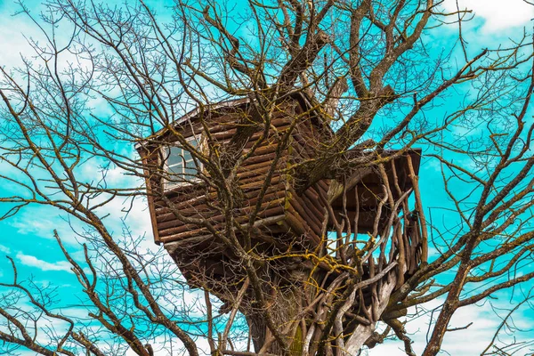 A fák kényelmes ház — Stock Fotó