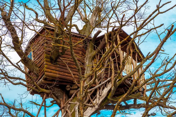 Handige huis in de bomen — Stockfoto