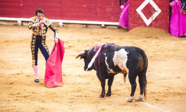 Bir boğa ve Boğa güreşçisi mücadele. Corrida de toros
